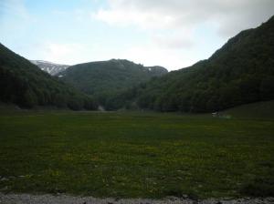 Il Parco nazionale D'Abruzzo