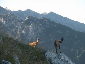 Il Parco nazionale D'Abruzzo