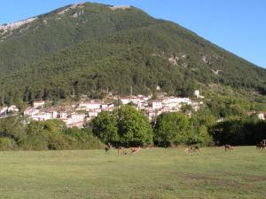 Il Parco nazionale D'Abruzzo