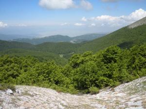 Il Parco nazionale D'Abruzzo